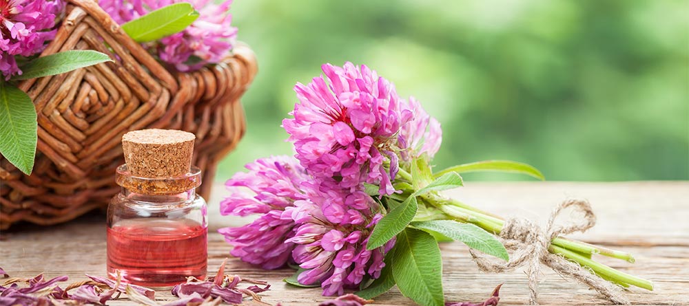 Séances de kinésiologie pour enlever des blocages inconscients à Palavas-les-Flots avec Sandrine Rooryck Naturopathe kinésiologie ou comment enlever trouver des blocages qui empeche d'avancer liberer le stress eviter le sabotage avec naturopathe sandrine Rooryck à Palavas-les-Flots 34 Montpellier hérault